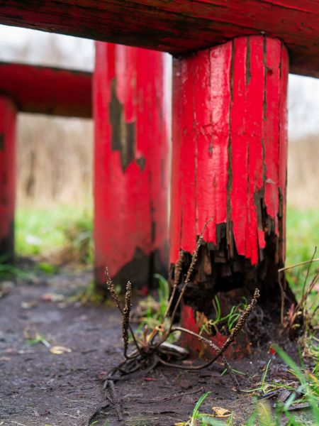 Cost of Rotten Column Replacement in Carrollton